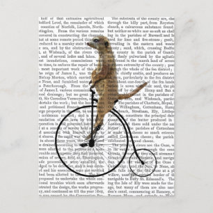 Postal Meerkat en Black Penny Farthing