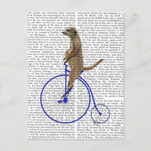 Postal Meerkat En Blue Penny Farthing