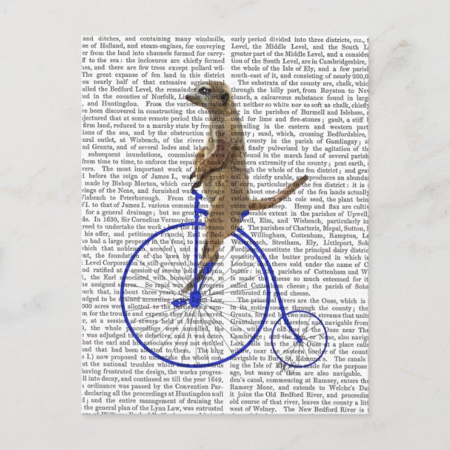 Postal Meerkat En Blue Penny Farthing (Anverso)