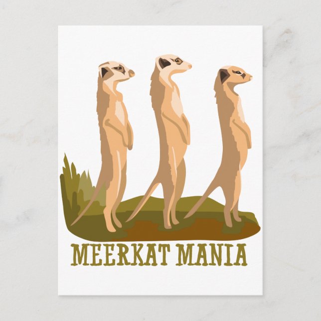 Postal Meerkat Mania (Anverso)