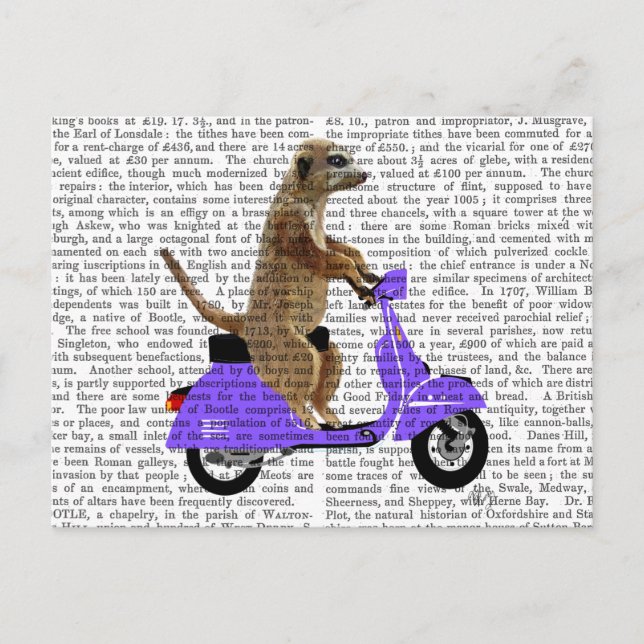 Postal Meerkat sobre Lilac Moped (Anverso)