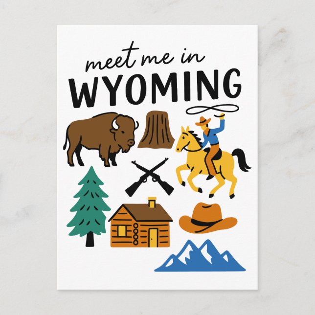 Postal Meet Me In Wyoming Cowboy Bison Devils Tower (Anverso)