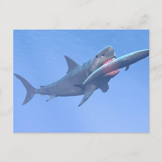 Postal Megalodon comiendo una ballena (Anverso)