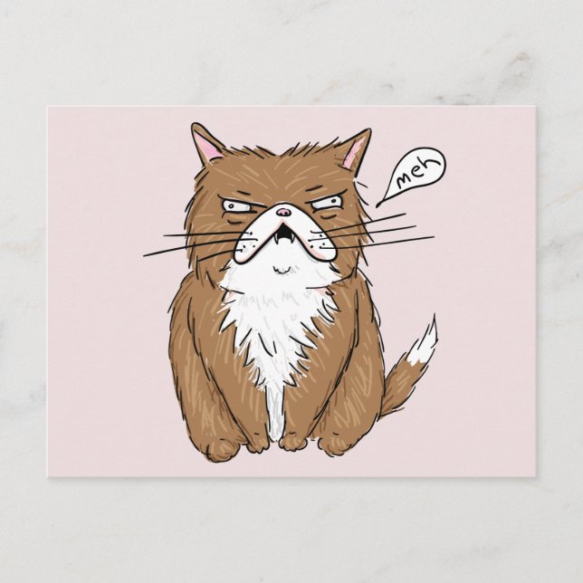 Postal Meh Funny Grumpy Cat Drawing (Anverso)