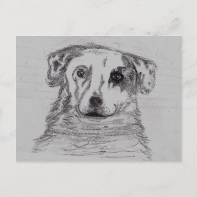 Postal Mejor amigo (Anverso)