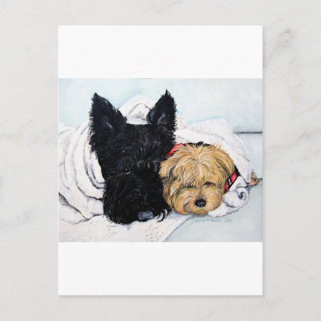 Postal Mejor amigo de Scottish Terrier y Yorkie (Anverso)