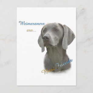 Postal Mejor Amigo de Weimeraner 2
