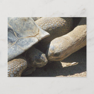 Postal Mejor Amigos para siempre