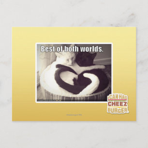 Postal Mejor de ambos mundos