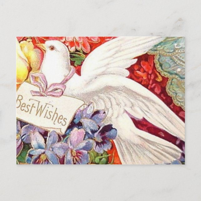 Postal Mejor Deseos Victorian Dove Boda Cumpleaños (Anverso)