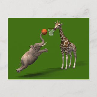 Postal Mejor Puntero de Baloncesto