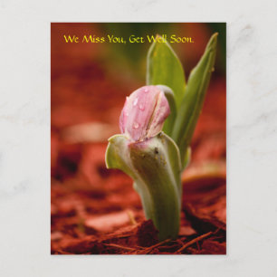 Postal Mejore pronto