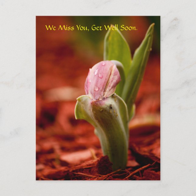 Postal Mejore pronto (Anverso)