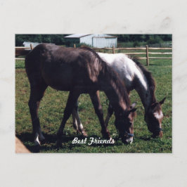 Postal Mejores amigos