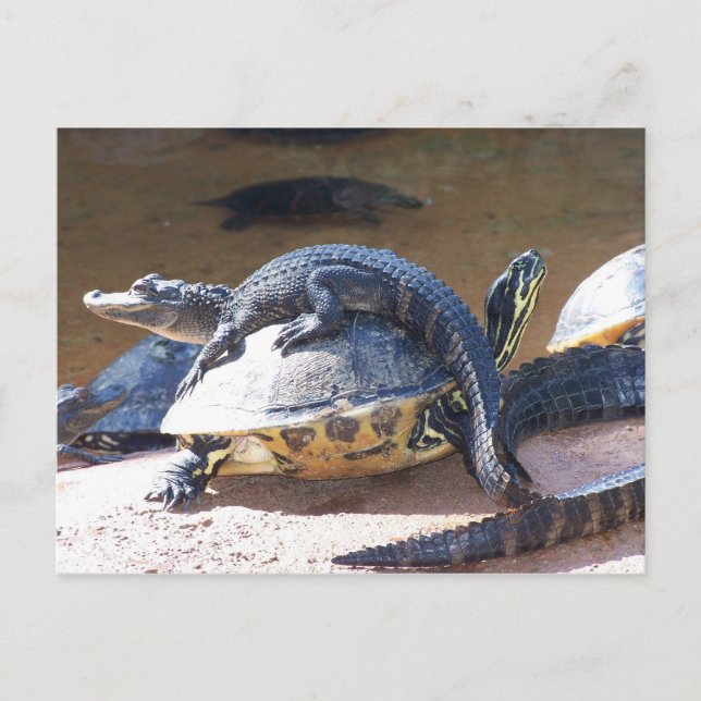 Postal Mejores amigos (Anverso)