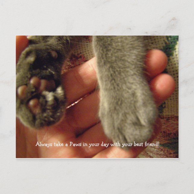 Postal Mejores amigos (Anverso)