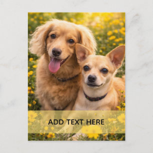 Postal Mejores amigos Dachshund y Chiweenie AGREGA TU TEX