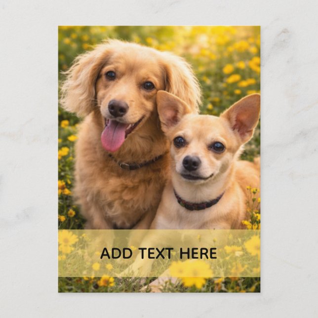 Postal Mejores amigos Dachshund y Chiweenie AGREGA TU TEX (Anverso)