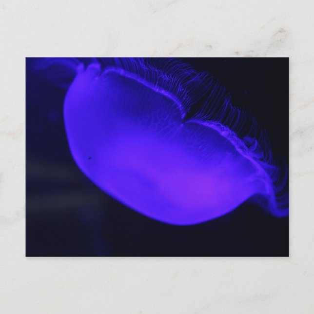 Postal Melocotonería # 6 (Anverso)