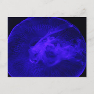 Postal Melocotones de luna # 32