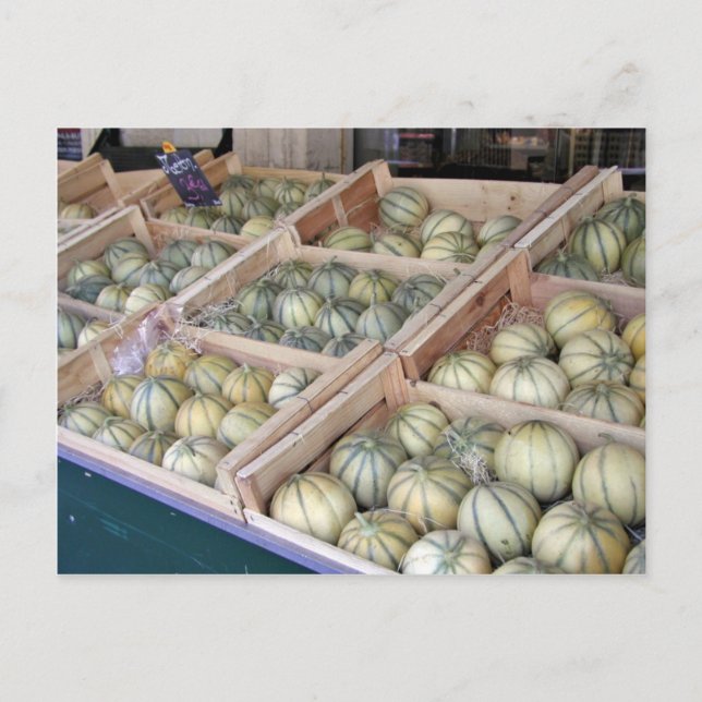 Postal Melones charentais expuestos en el supermercado (Anverso)