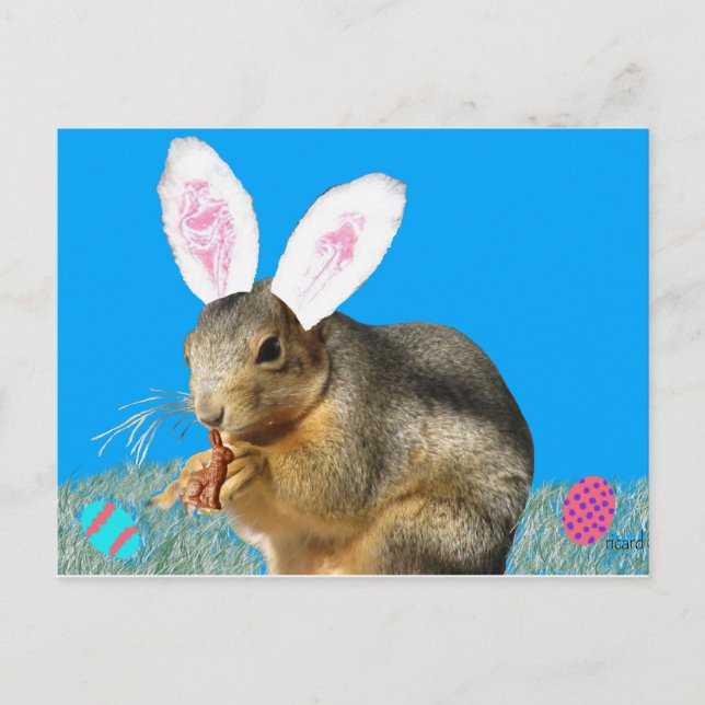 Postal Melvin Cottontail Postcard (Anverso)