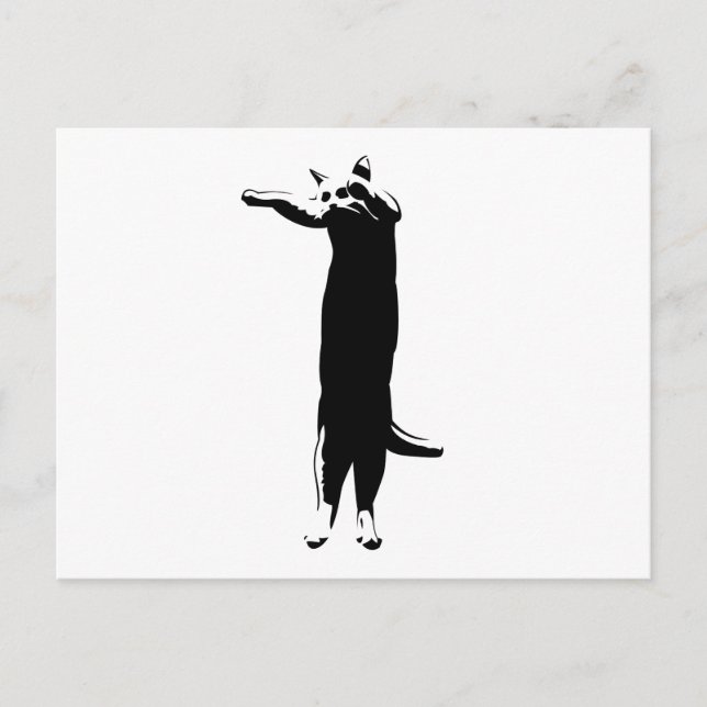 Postal Meme de gato largo (Anverso)