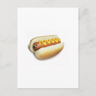 Postal Meme de Hot Doge