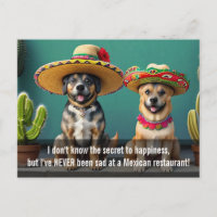 meme de sombreros perros