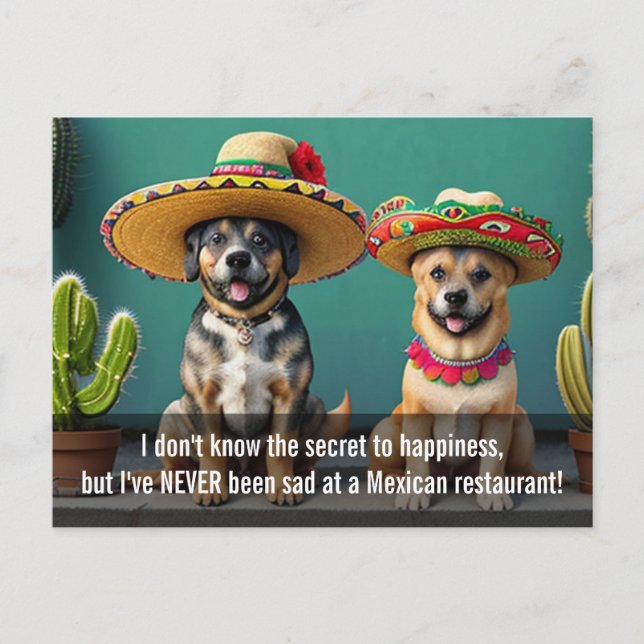 Postal meme de sombreros perros (Anverso)