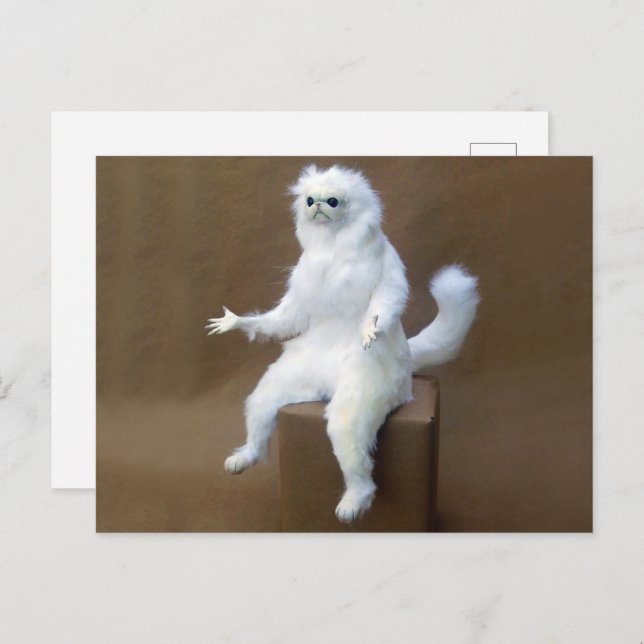 Postal Meme del guardián de la habitación de postcard (Anverso / Reverso)