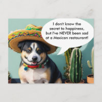 meme del perro del sombrero