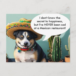 Postal meme del perro del sombrero