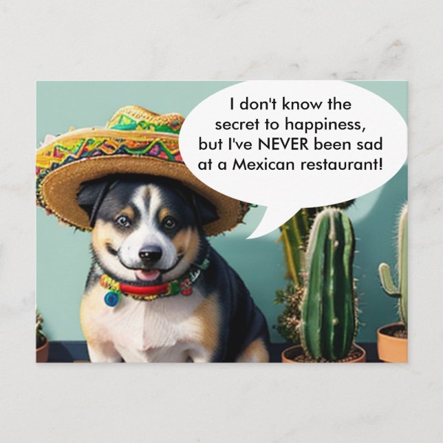 Postal meme del perro del sombrero (Anverso)
