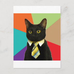 Postal Meme para animales de consejos para gatos empresar