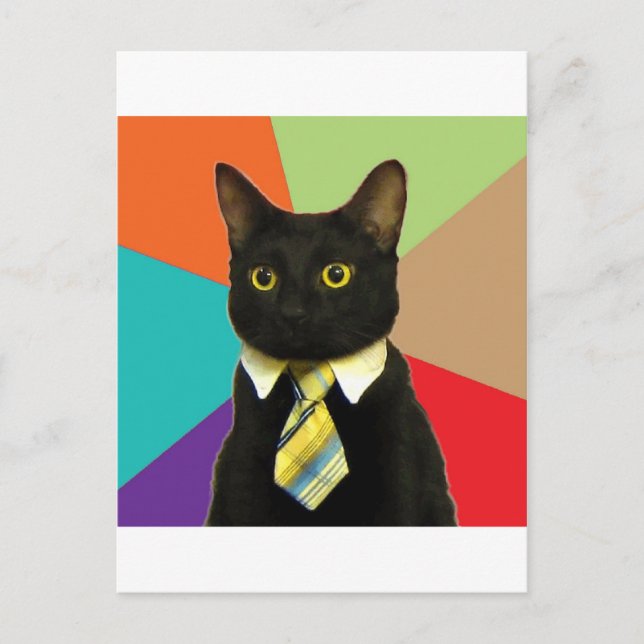 Postal Meme para animales de consejos para gatos empresar (Anverso)