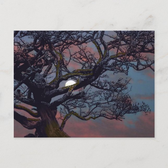 Postal Memoria de la luna (Anverso)