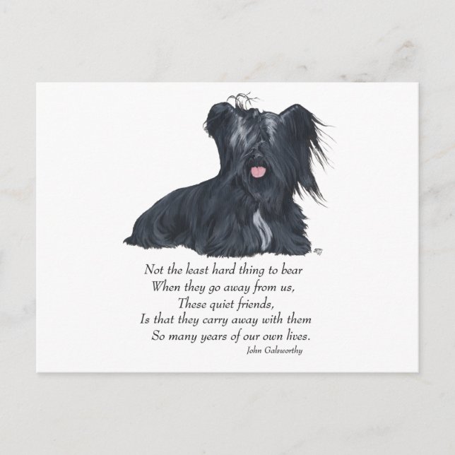 Postal Memoria del Terrier Skye (Anverso)
