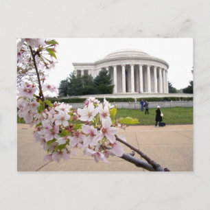 Postal Memorial de Thomas Jefferson con flores de cerezo