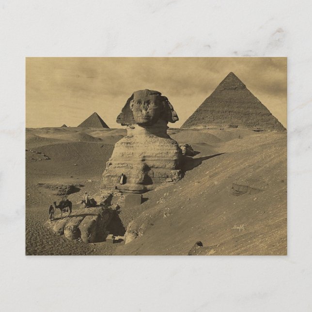 Postal Men and Camels on the Paw of the Sphinx, Pyramids (Anverso)