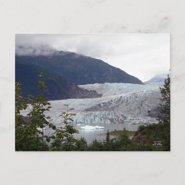 Postal Mendenhall Glacier Postcard (Anverso)
