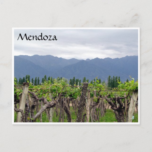 Postal mendoza andes vines (Anverso)
