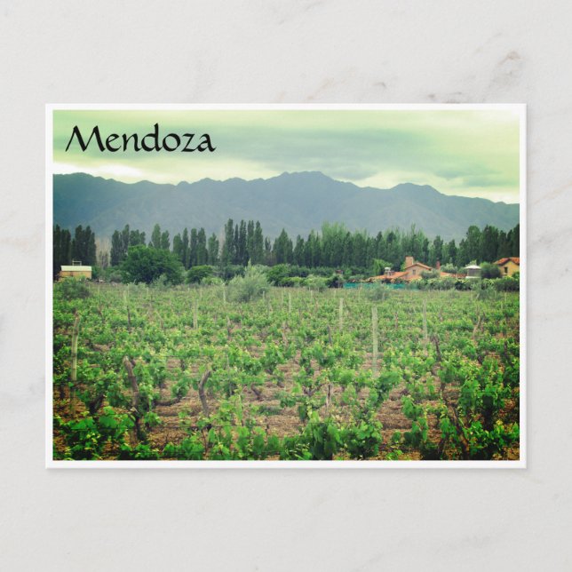 Postal mendoza andes vineyard (Anverso)