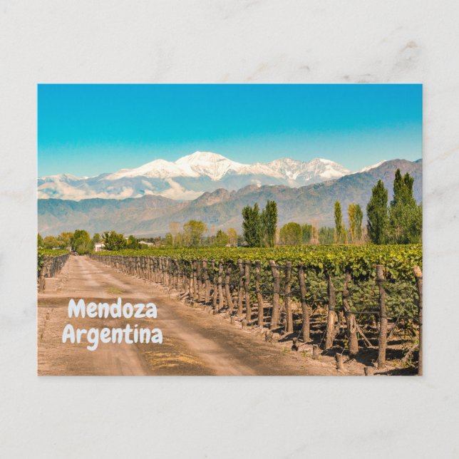 Postal Mendoza, bodega argentina, montañas (Anverso)