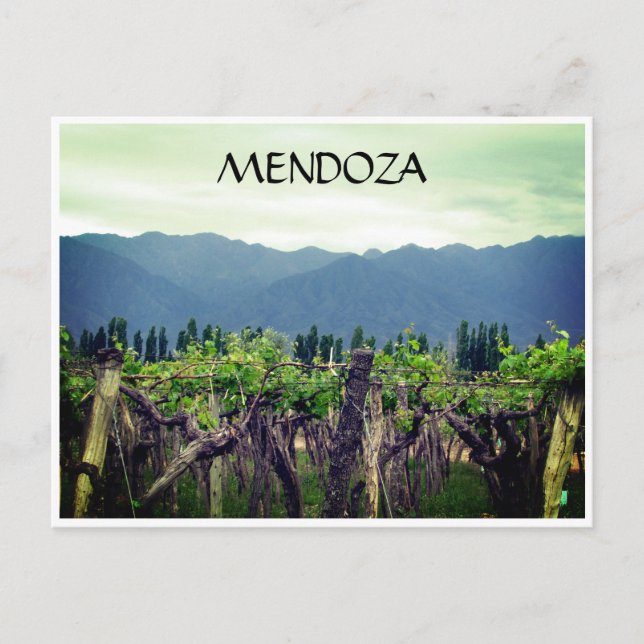 Postal mendoza vines andes (Anverso)