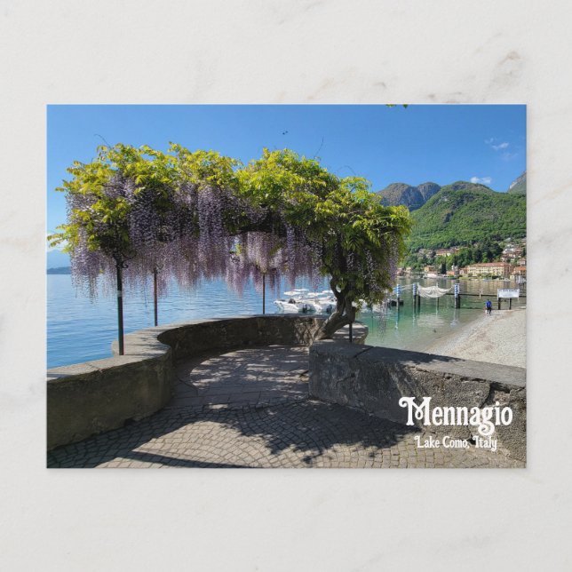 Postal Mennagio Wisteria (Anverso)