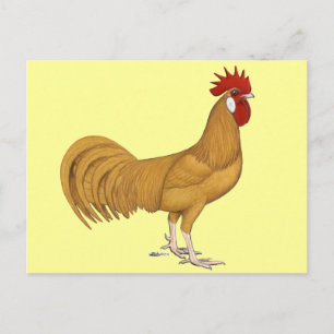 Postal Menorca: Buff Rooster