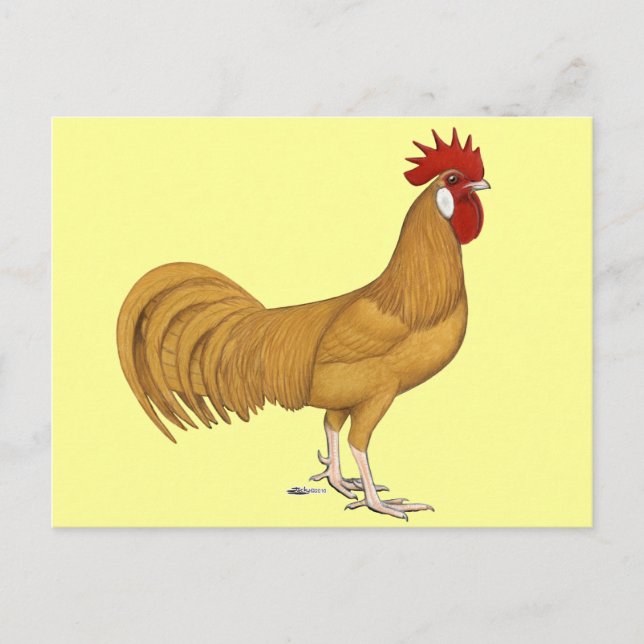 Postal Menorca:  Buff Rooster (Anverso)