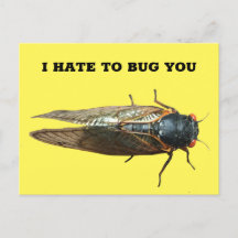 Mensaje de Personalizado de fotos de insectos Cica