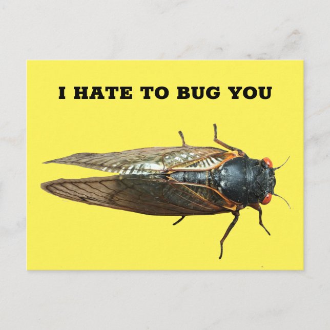 Postal Mensaje de Personalizado de fotos de insectos Cica (Anverso)